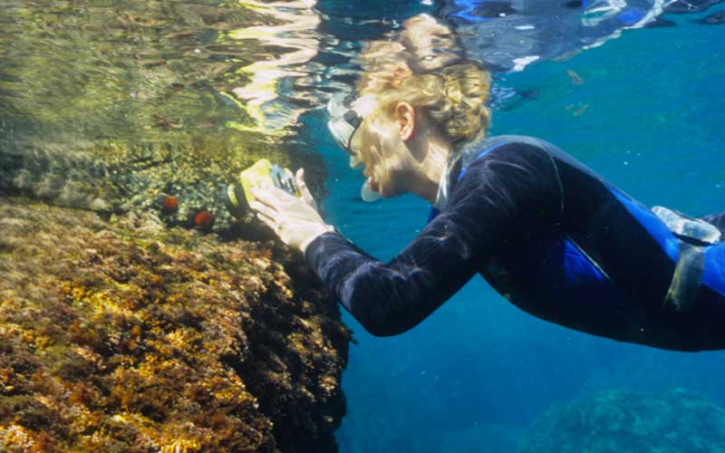 Calas ideales para snorkel y buceo en la Costa Brava